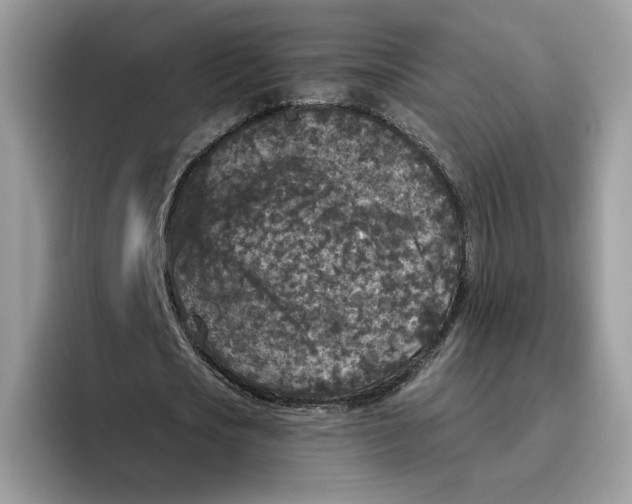 X0000095960721200802011121