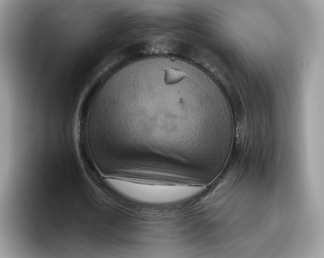 X0000095960722200802011121