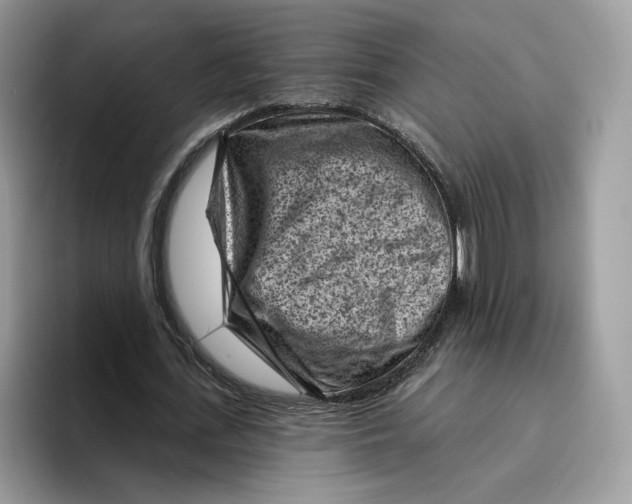 X0000095960723200802011121