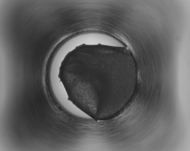 X0000095960724200802011121