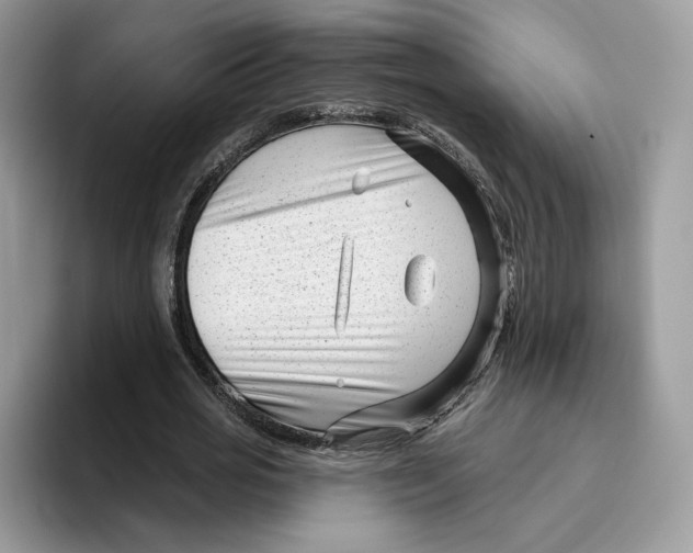 X0000095960725200802011121