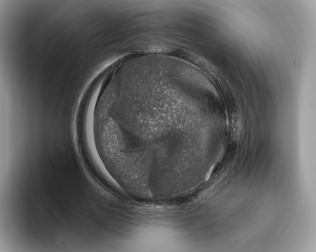 X0000095960726200802011121