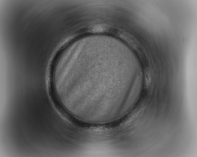 X0000095960728200802011121