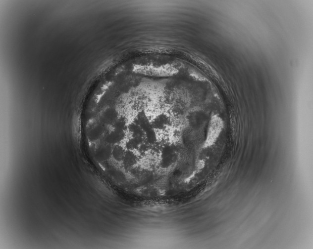 X0000095960729200802011121