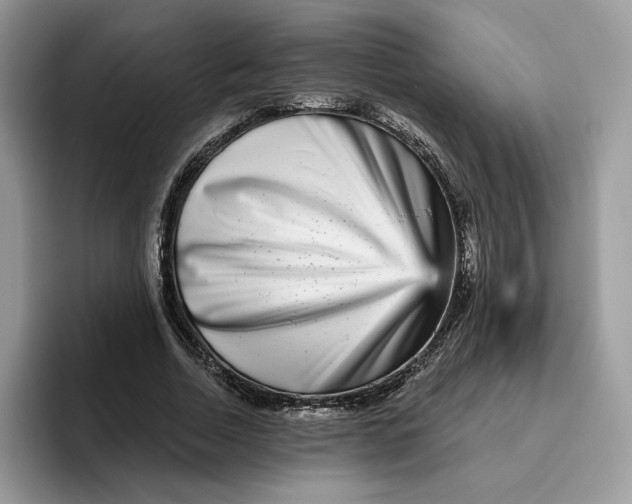 X0000095960730200802011121