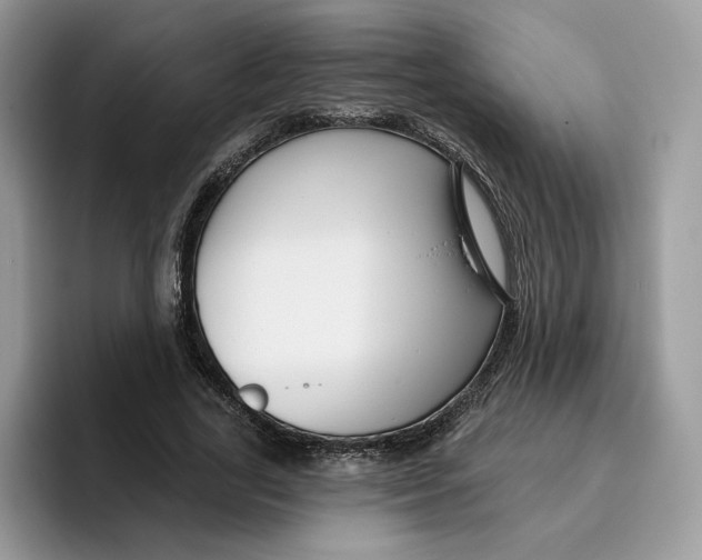 X0000095960731200802011121