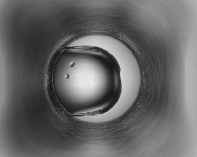 X0000095960732200802011121