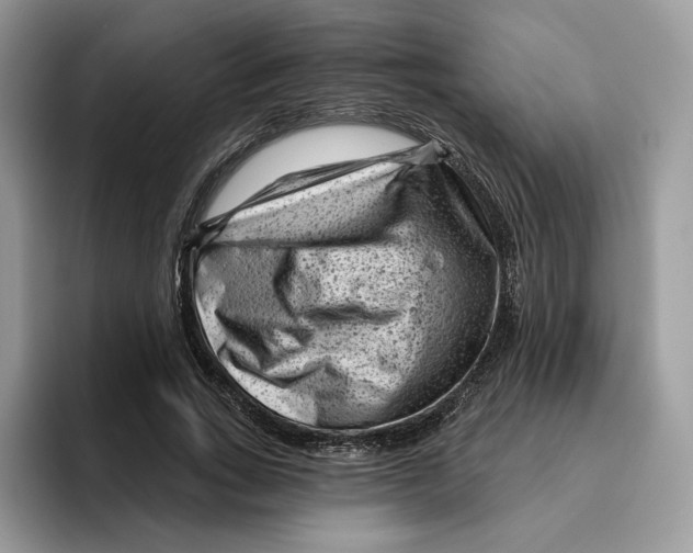 X0000095960735200802011121