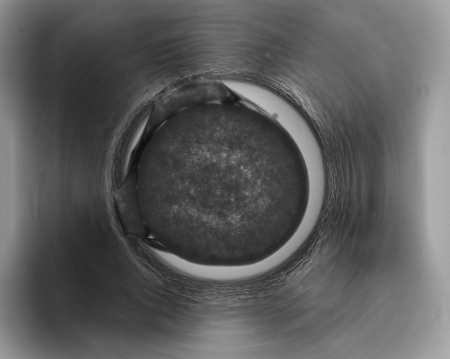 X0000095960736200802011121