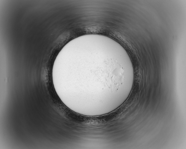 X0000095960738200802011121