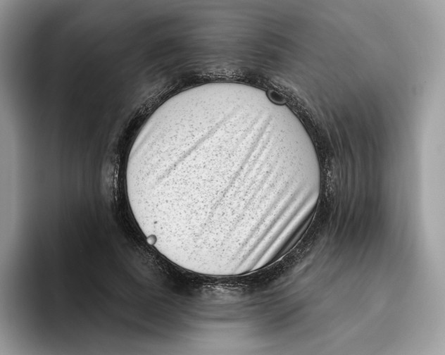 X0000095960739200802011121