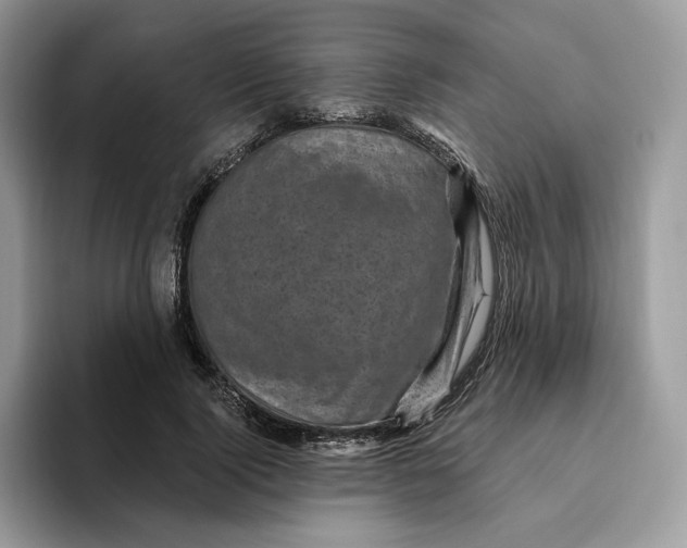 X0000095960740200802011121