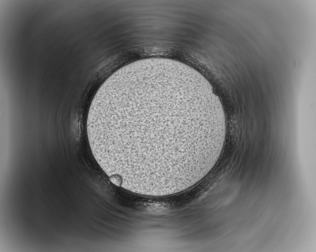 X0000095960741200802011121