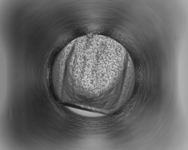 X0000095960742200802011121