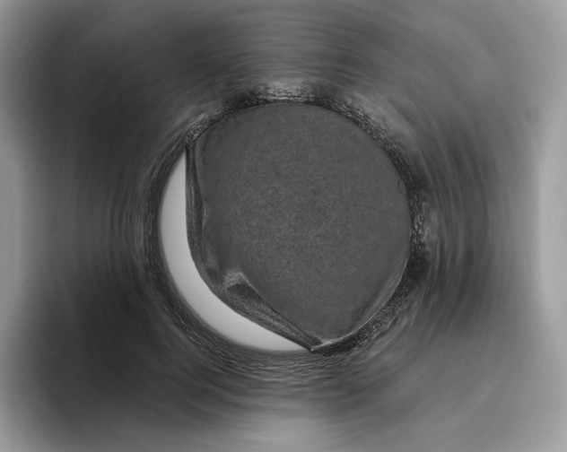 X0000095960744200802011121