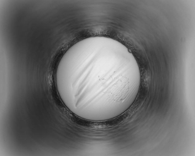 X0000095960746200802011121