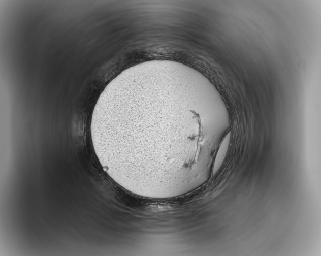 X0000095960749200802011121