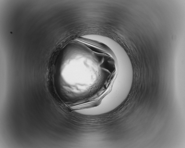 X0000095960750200802011121