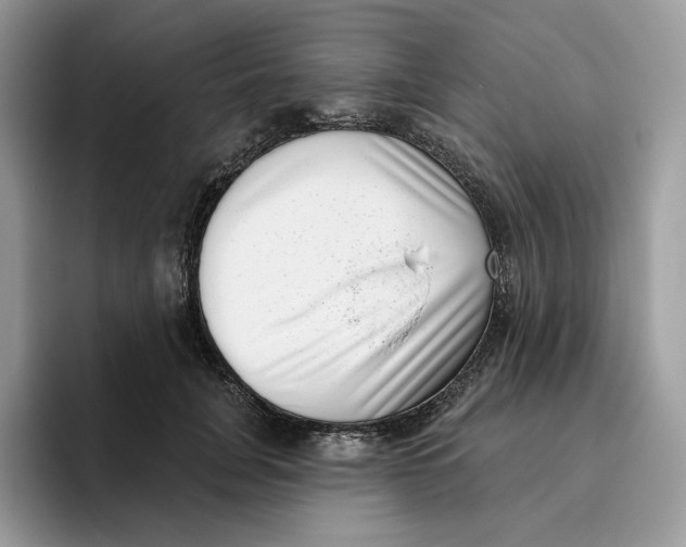 X0000095960751200802011121