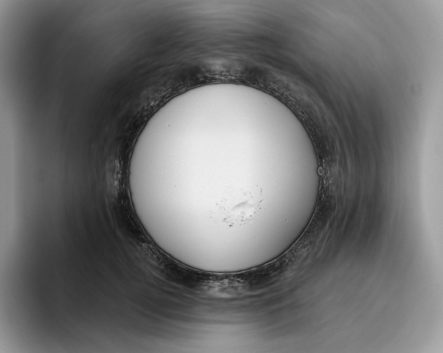 X0000095960752200802011121