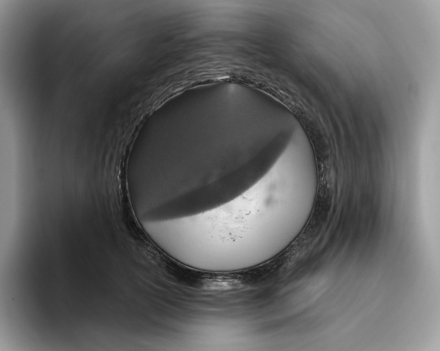 X0000095960754200802011122