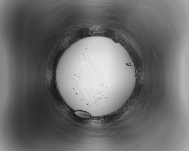 X0000095960756200802011122