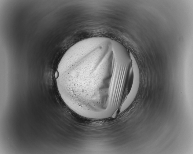 X0000095960757200802011122