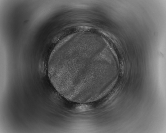 X0000095960759200802011122