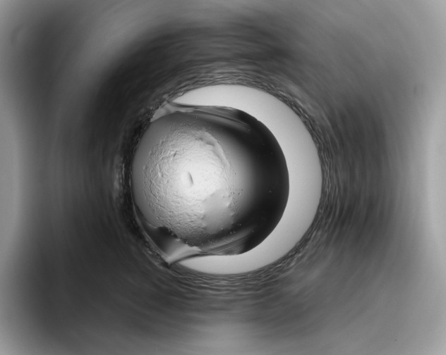 X0000095960760200802011122