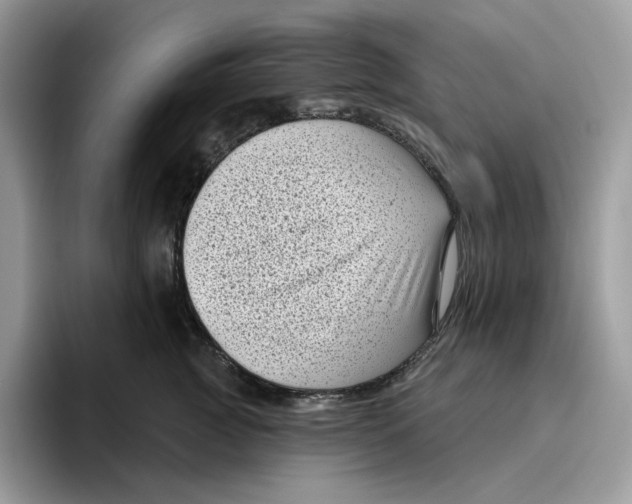 X0000095960761200802011122