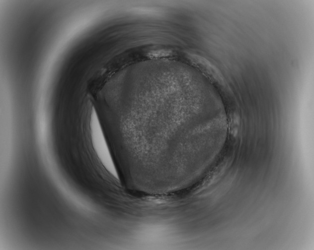 X0000095960763200802011122