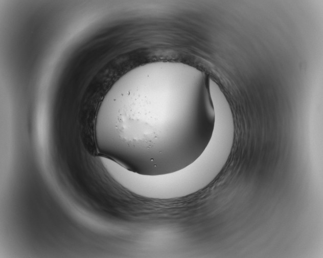 X0000095960764200802011122