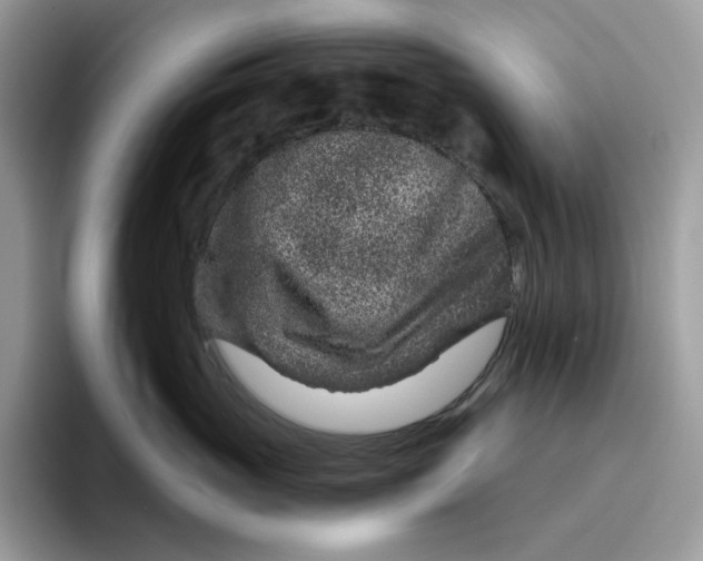 X0000095960765200802011122