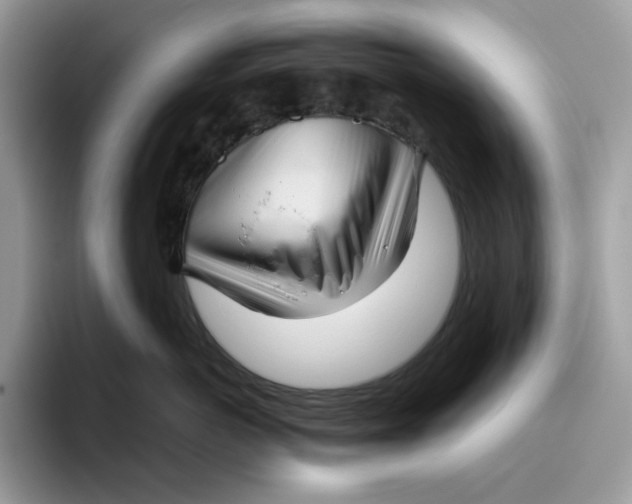 X0000095960766200802011122