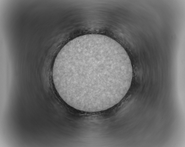 X0000095960769200802011121