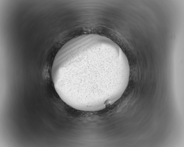 X0000095960770200802011121