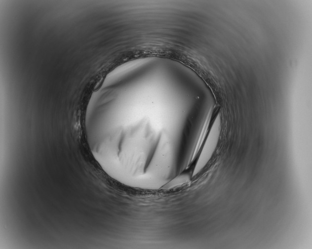 X0000095960771200802011121