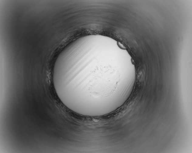 X0000095960772200802011121