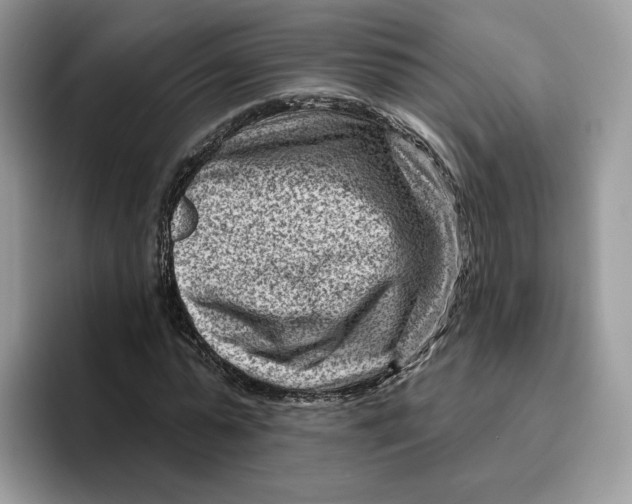 X0000095960775200802011121