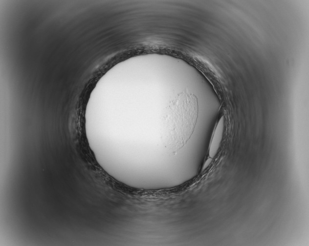 X0000095960776200802011121