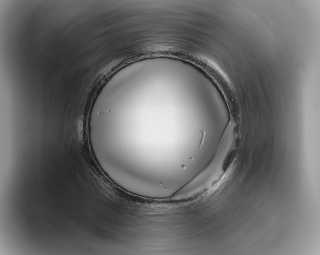 X0000095960777200802011121