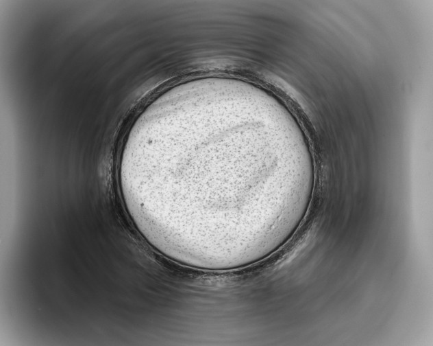 X0000095960778200802011121