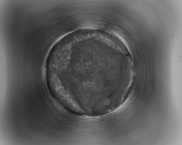 X0000095960779200802011121