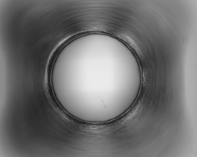 X0000095960780200802011121