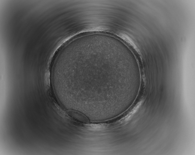 X0000095960781200802011121