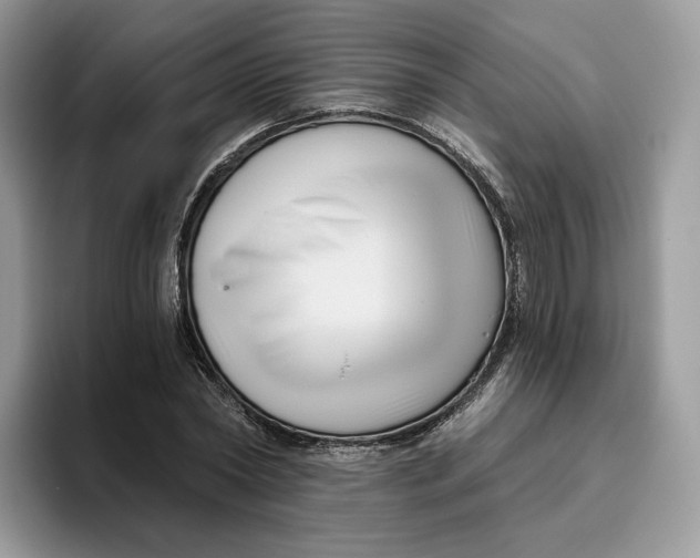 X0000095960782200802011121