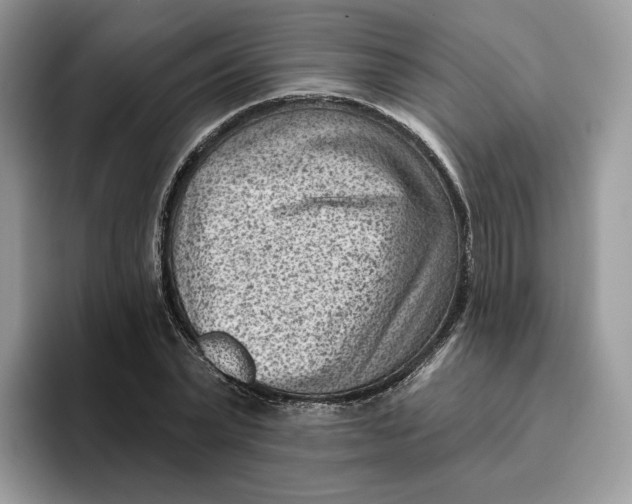 X0000095960783200802011121