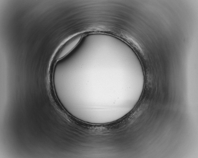 X0000095960784200802011121