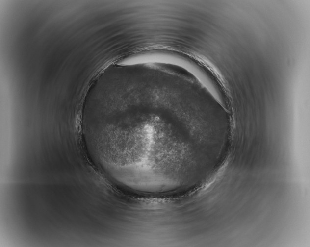 X0000095960785200802011121