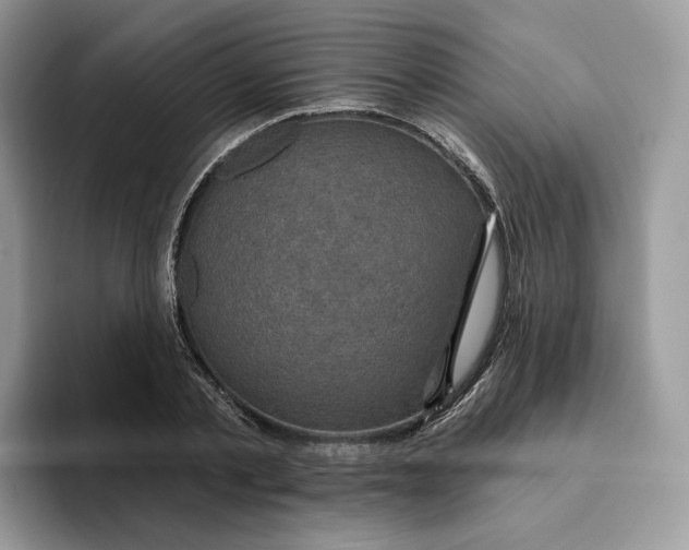 X0000095960789200802011121